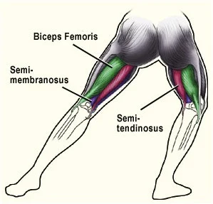 Back of knee pain online